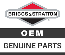Briggs & Stratton Engine