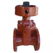 Category Leemco Gate Valve Flange image