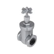 Category Leemco Stainless Steel FPT Gate Valves image