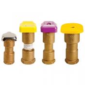 Category R&R One-Piece Quick Coupling Valves image